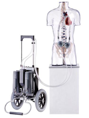 5 EXCOR torso with Excor mobile
