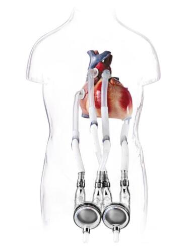 6 EXCOR Pediatric torso
